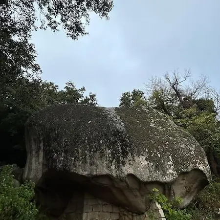 Au Cœur D’un Village *