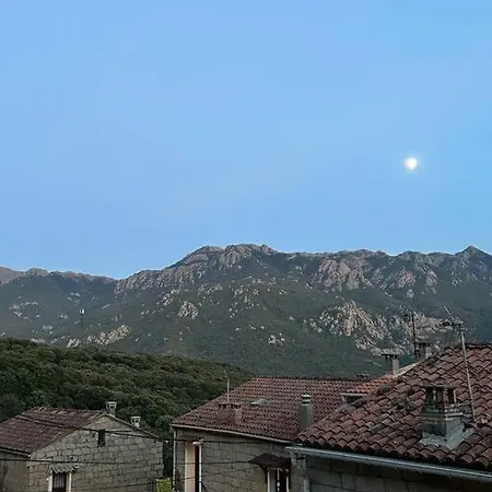 Appartement Au Cœur D’un Village Foce