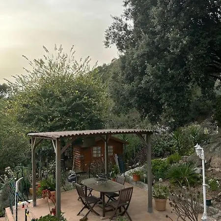 Au Cœur D’un Village * Foce